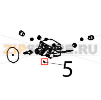 Grano tei M5x8 p/conica Angelo Po 2N1FAGF