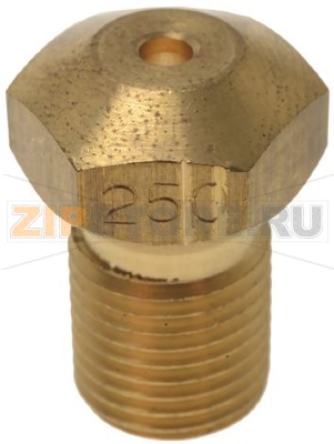 ГАЗОВАЯ ФОРСУНКА M10X1 Ø 2.50 ММ 