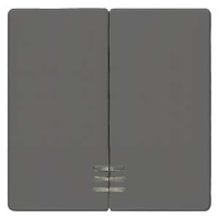 DELTA I-SYSTEM ЧЕРНЫЙ МЕТАЛЛИК ВЫКЛЮЧАТЕЛЬ 2 КЛАВИШИ С ОКНОМ 55X55MM Siemens 5TG6224