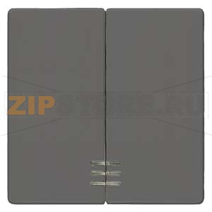 DELTA I-SYSTEM ЧЕРНЫЙ МЕТАЛЛИК ВЫКЛЮЧАТЕЛЬ 2 КЛАВИШИ С ОКНОМ 55X55MM Siemens 5TG6224 