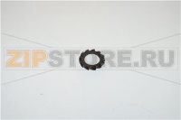 ROSETTA DENTELLATA 6.4X11