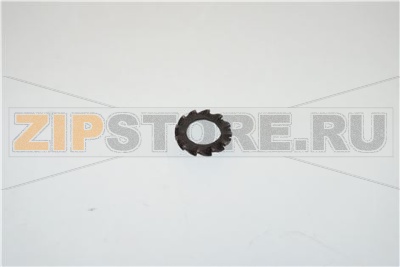 ROSETTA DENTELLATA 6.4X11 