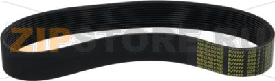 BELT POLY V J 12 559 50Hz 