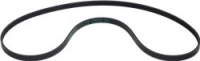 BELT HUTCHINSON 1161 J5