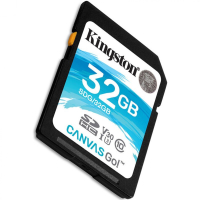 Карта памяти 32 Гб Kingston SDG-32GB