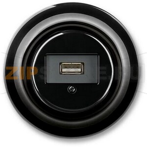 Розетка USB, чёрный фарфор ABB 2CHK290420C4301 