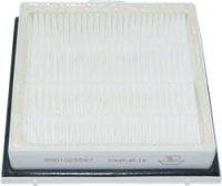 HYGIENIC FILTER HEPA BOSCH 00579494