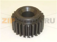 PIGNONE PLANETARIO Z24 ø 65 mm