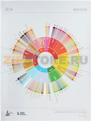 THE COFFEE TASTER&amp;#039;S FLAVOR WHEEL 