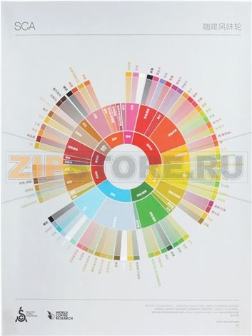 THE COFFEE TASTER&#039;S FLAVOR WHEEL 