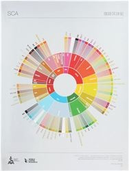 THE COFFEE TASTER&#039;S FLAVOR WHEEL 