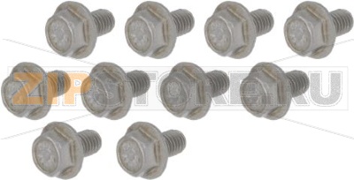 ВИНТЫ С ШЕСТИГРАННОЙ ФЛАНЦ.ГОЛОВКОЙ M5X8-10ШТ RATIONAL 1005.2000P 