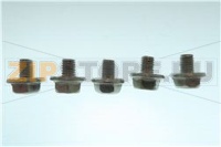 ВИНТ С ШЕСТИГРАННОЙ ГОЛОВКОЙ И ШАЙБОЙ М5х6 RATIONAL 24.02.960P