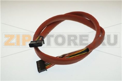 Cavo coll. DOS/TH FEM/FEM L. 800 MM 