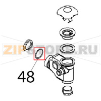 Anello OR Angelo Po BX61E