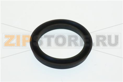 PISTON WASHER 