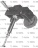 SHARPENER NOAW MOD.300 I