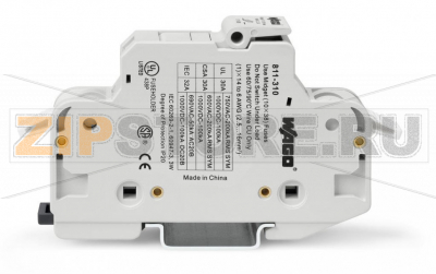 2-conductor fuse holder   ; for cylindrical fuses 10 x 38 mm; 13/32&quot; x 11/2&quot;; 1-pole; without blown fuse indication; 750 VAC/ 1000 VDC; for DIN-rail 35 x 15 and 35 x 7.5; 16 mm; CAGE CLAMP®; 16,00 mm; light gray Wago 811-310 