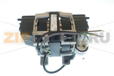 POMPE DE COMPRESSION 