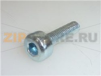 VITE TESTA BOMB.CAVA 10.9 M5X20 ZIN