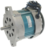 MOTORE 220V 60Hz