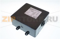 CENTRALINA 100E ALIMENTAZIONE 110VOLT