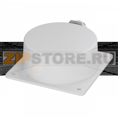 Датчик индуктивный Standard с приоритетом Balluff BES02T0 
