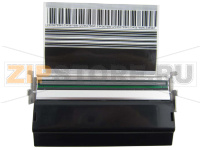 Печатающая термоголовка Zebra ZM400 (600dpi)