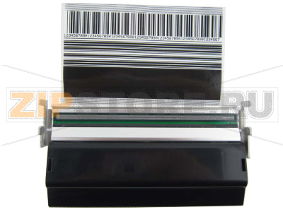 Печатающая термоголовка Zebra ZM400 (600dpi) Печатающая термоголовка ZEBRA 600 dpi Printhead Replacement Kit - ZM400.  Запчасть на сборочном чертеже под номером: 3Количество запчастей в устройстве: 1 Термопечатающая головка для принтеров Zebra ZM 400 созданного для печати самоклеящихся термо- и термотрансферных этикеток с высокой разрешающей способностью - 600 dpi. Ширина области печати (максимальная) термоголовки - 104мм. Максимальная скорость печати - до 102 мм/сек.