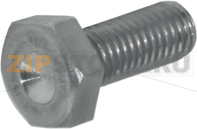 SCREW FOR EXTRACTOR M10x25 I 