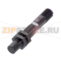 Датчик уровня наполнения емкостной, контактирующий со средой Balluff BCS00PP