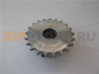 PIGNONE FIANCO DX Z21 1/2 C250-320