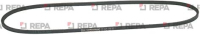 V BELT 6x710 mm - RHENINGHAUS
