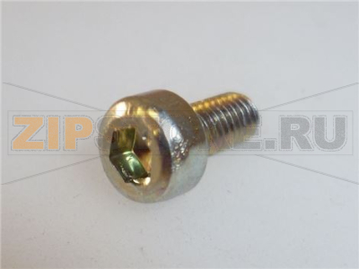 VITE A TESTA CILINDRICA M3x6 