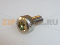 VITE A TESTA CILINDRICA M3x6