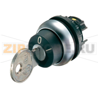 Выключатель с ключом, черный, 2 x 40°: 1 шт Eaton M22-WS3