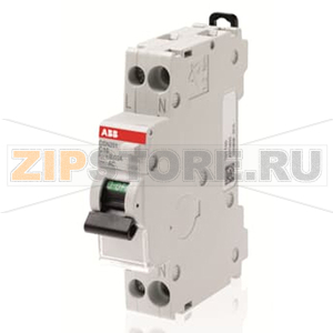 Выключатель дифференциального тока, автоматический, DSN201 C6 A30 ABB 2CSR255150R1064 