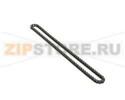 KIT PIGNONE E CATENA 