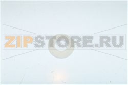 GASKET, .75 HOSE FITTING 