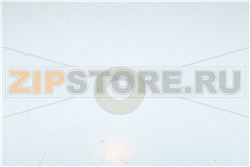 GASKET, .75 HOSE FITTING 