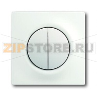 Клавиша для механизма двухклавишных выключателей/переключателей/кнопок ABB 2CKA001753A0181