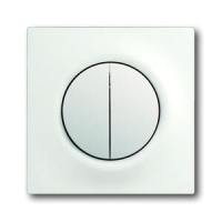 Клавиша для механизма двухклавишных выключателей/переключателей/кнопок ABB 2CKA001753A0181