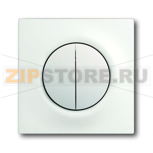 Клавиша для механизма двухклавишных выключателей/переключателей/кнопок ABB 2CKA001753A0181 