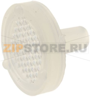 FILTER FOR WATER CONTAINER 