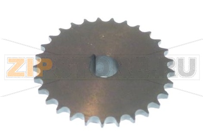 PIGNONE CATENA z=29 08B TFA TR 33A 42A 5 