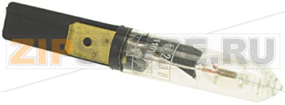 NEON LAMP 110V 