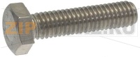 SCREW ST. STEEL WITH HEXAGONAL HEAD M6x2