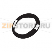 Or ORM 0080-15 EPDM Saeco Royal Digital