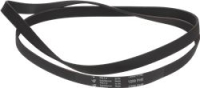 BELT HUTCHINSON 1200 H8 EL