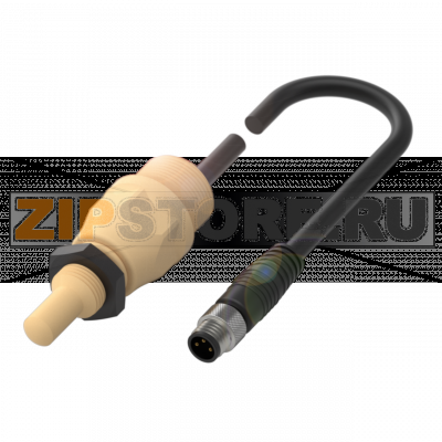 Датчик уровня наполнения емкостной, контактирующий со средой Balluff BCS00ZM 